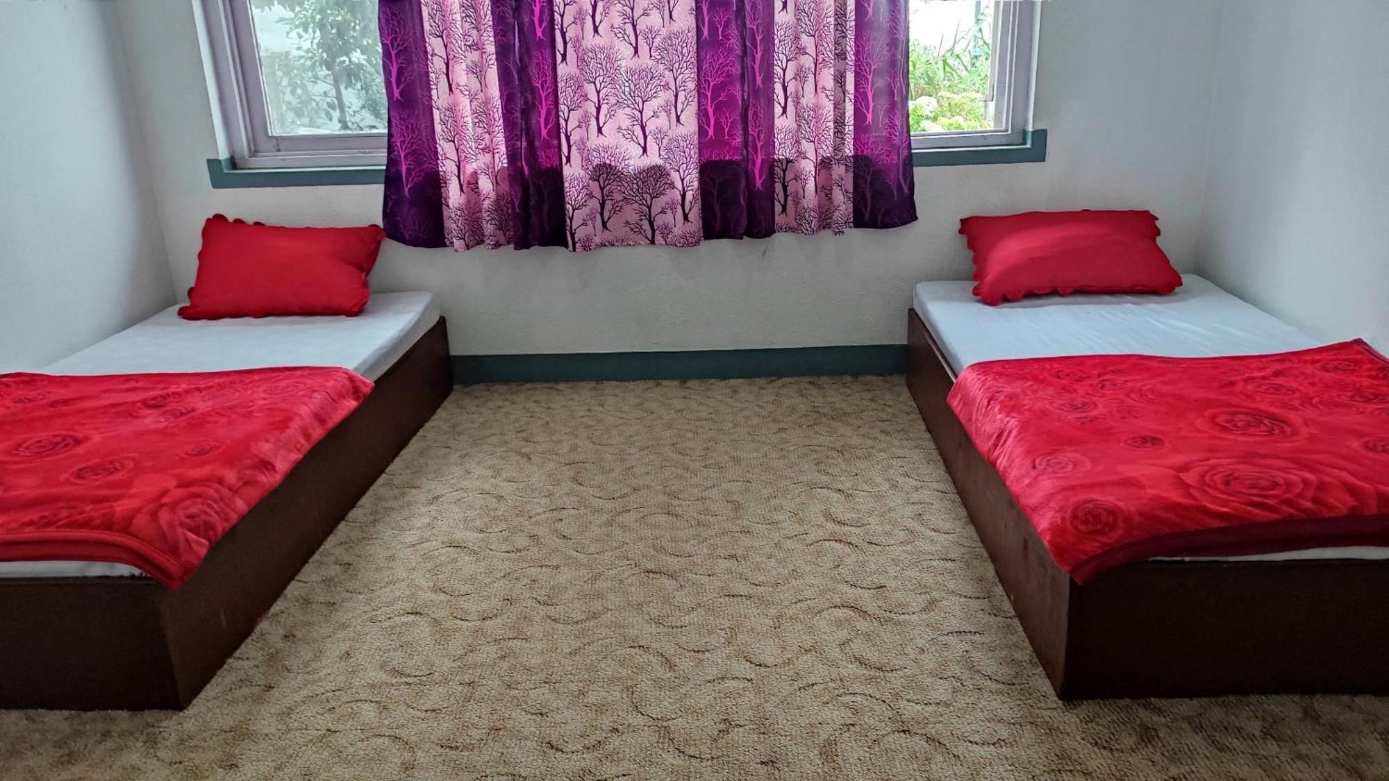 Budget Backpackers Hotel Lalitpur Extérieur photo