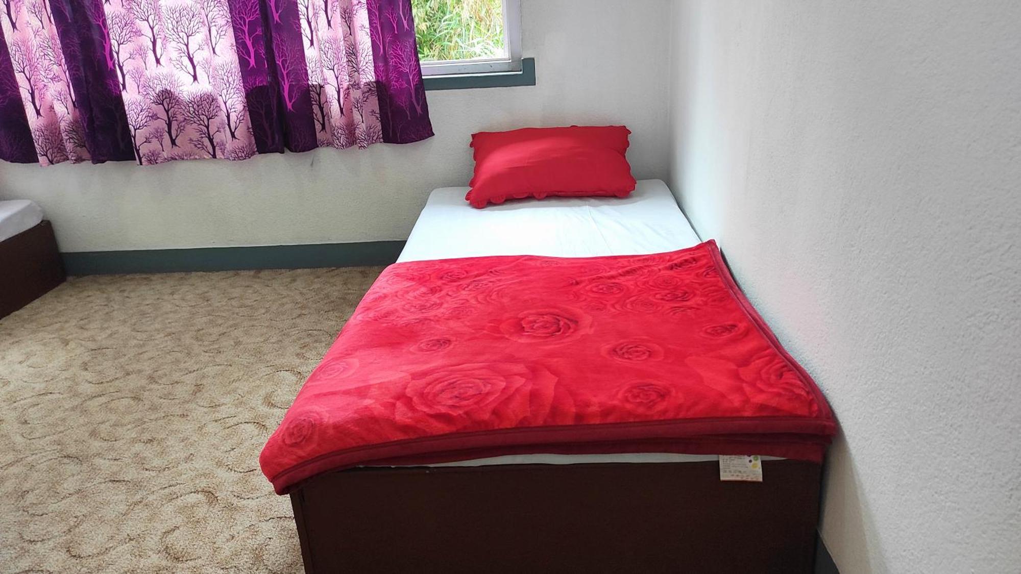 Budget Backpackers Hotel Lalitpur Extérieur photo